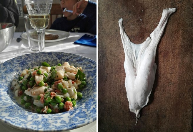 img_20170129_140927_burst001_cover_resized_20170129_042515542