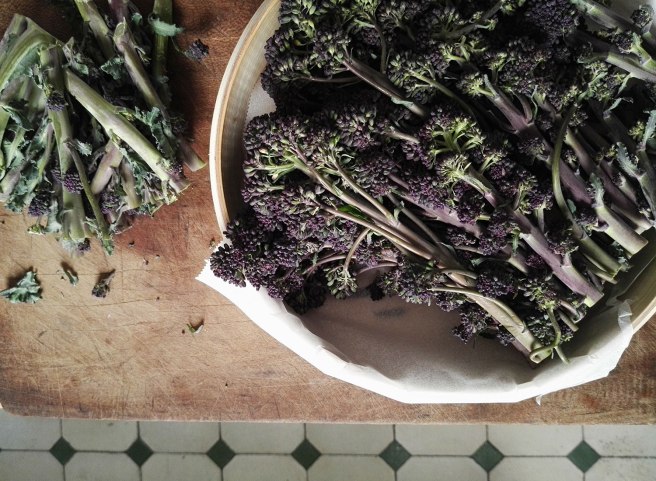 img_20170305_140527-1